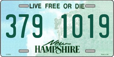 NH license plate 3791019