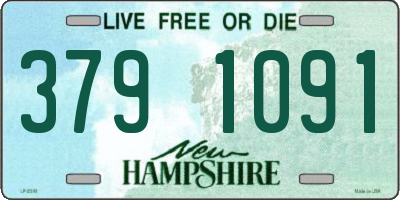 NH license plate 3791091