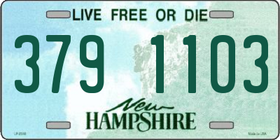 NH license plate 3791103