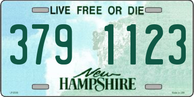 NH license plate 3791123