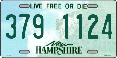 NH license plate 3791124