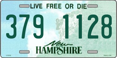 NH license plate 3791128