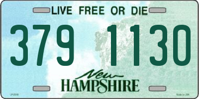 NH license plate 3791130