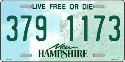 NH license plate 3791173
