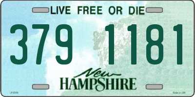 NH license plate 3791181