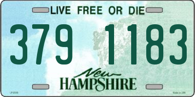 NH license plate 3791183