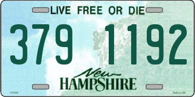 NH license plate 3791192