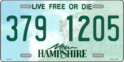 NH license plate 3791205