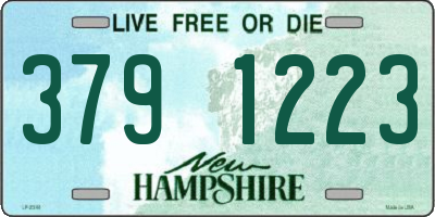NH license plate 3791223