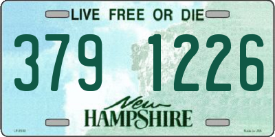 NH license plate 3791226