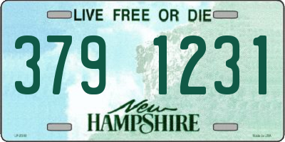 NH license plate 3791231