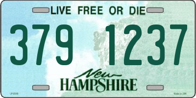 NH license plate 3791237