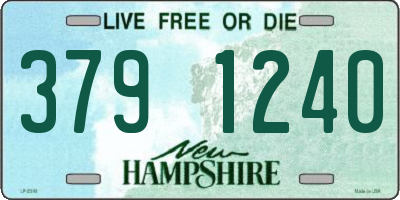 NH license plate 3791240