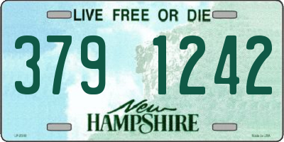 NH license plate 3791242