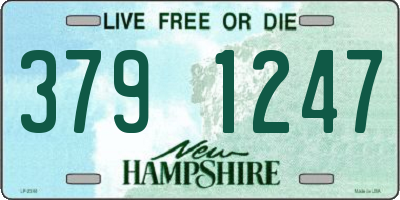 NH license plate 3791247