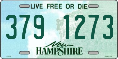 NH license plate 3791273