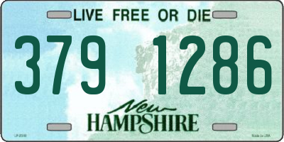 NH license plate 3791286