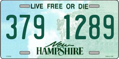 NH license plate 3791289