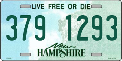 NH license plate 3791293