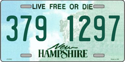 NH license plate 3791297
