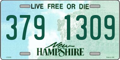 NH license plate 3791309