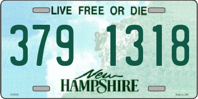 NH license plate 3791318