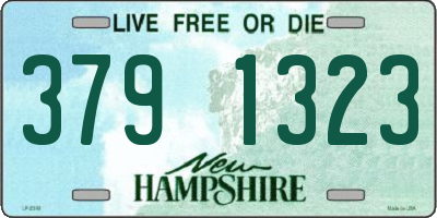 NH license plate 3791323