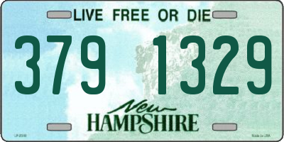 NH license plate 3791329