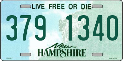 NH license plate 3791340
