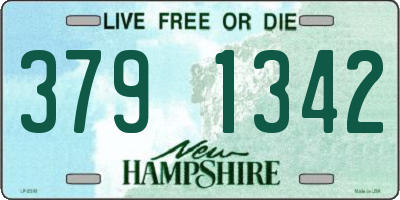 NH license plate 3791342