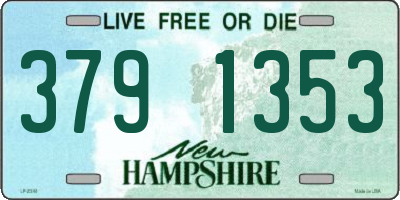 NH license plate 3791353