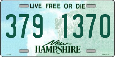 NH license plate 3791370