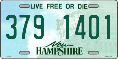 NH license plate 3791401