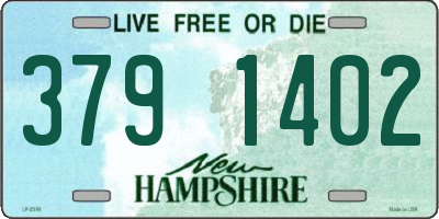 NH license plate 3791402