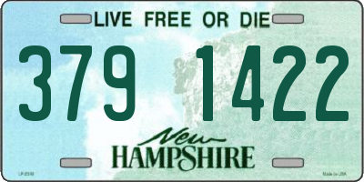 NH license plate 3791422