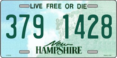 NH license plate 3791428