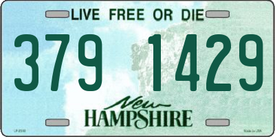 NH license plate 3791429