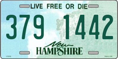 NH license plate 3791442