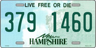 NH license plate 3791460
