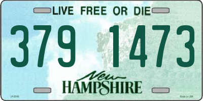 NH license plate 3791473