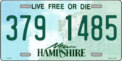 NH license plate 3791485