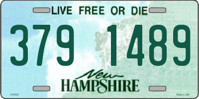NH license plate 3791489