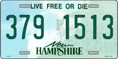 NH license plate 3791513