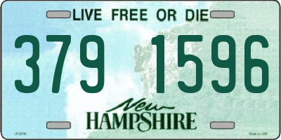 NH license plate 3791596