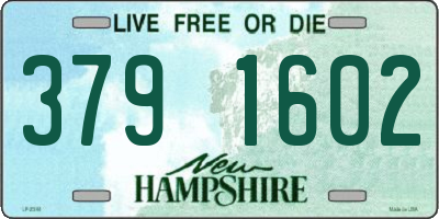 NH license plate 3791602