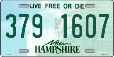 NH license plate 3791607