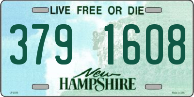 NH license plate 3791608