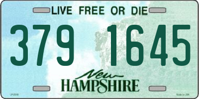 NH license plate 3791645