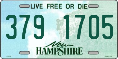 NH license plate 3791705