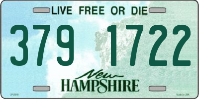 NH license plate 3791722